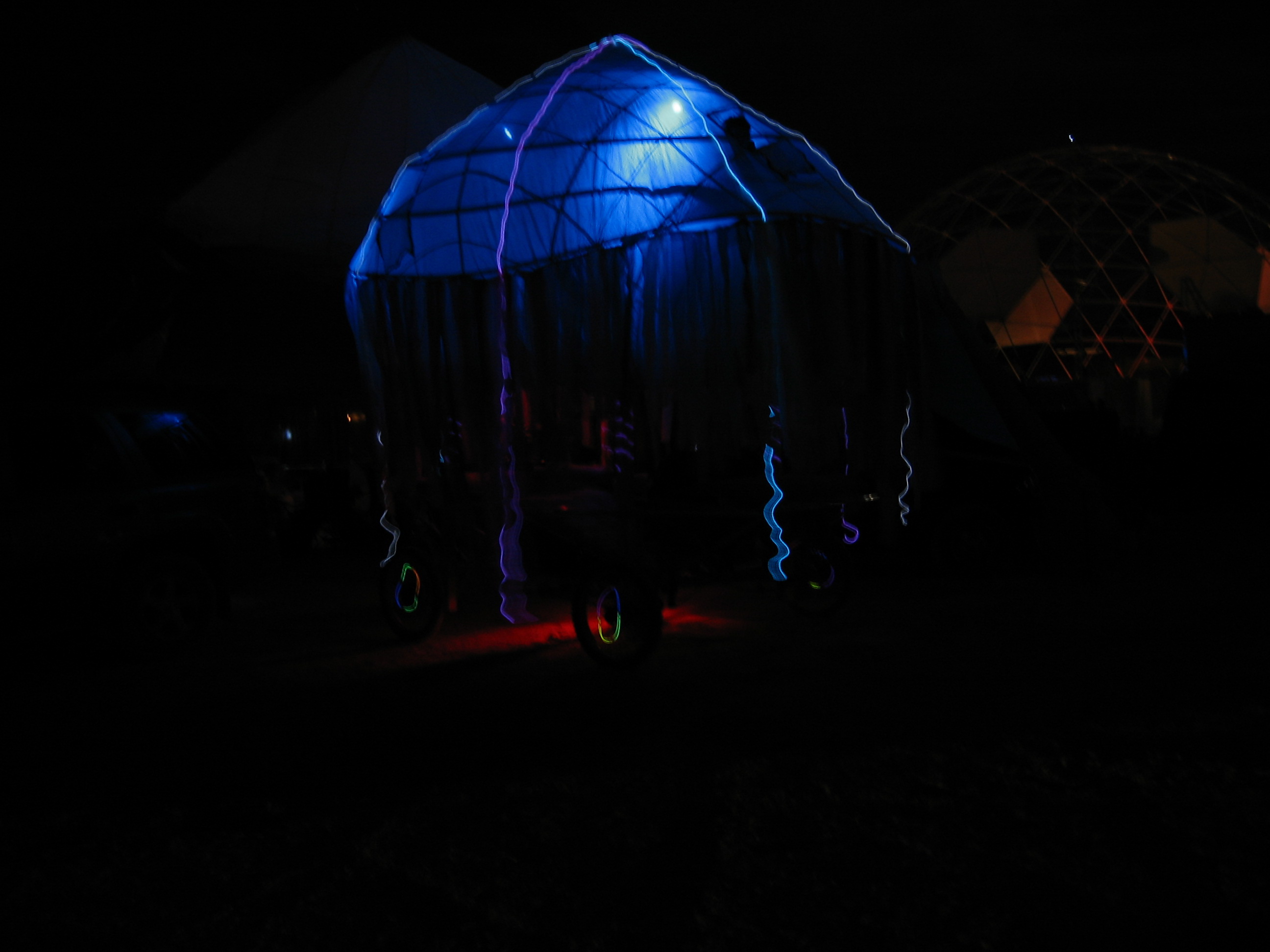 jellyfish@nite