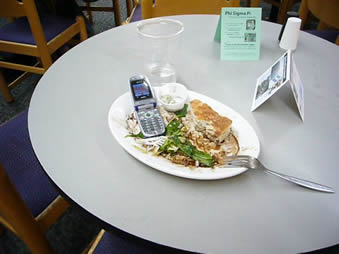 pet peve installation